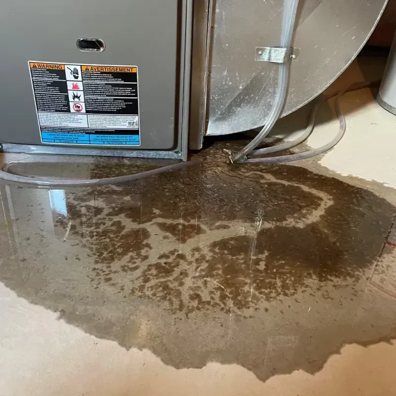 Appliance Leak Cleanup in Cherokee County, NC